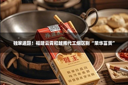独家追踪！福建云霄和越南代工烟区别“荣华富贵”